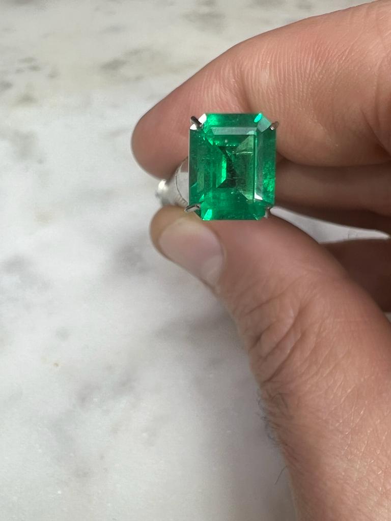 Carat Vivid Green Emerald Loose Gemstone – Nekta New York
