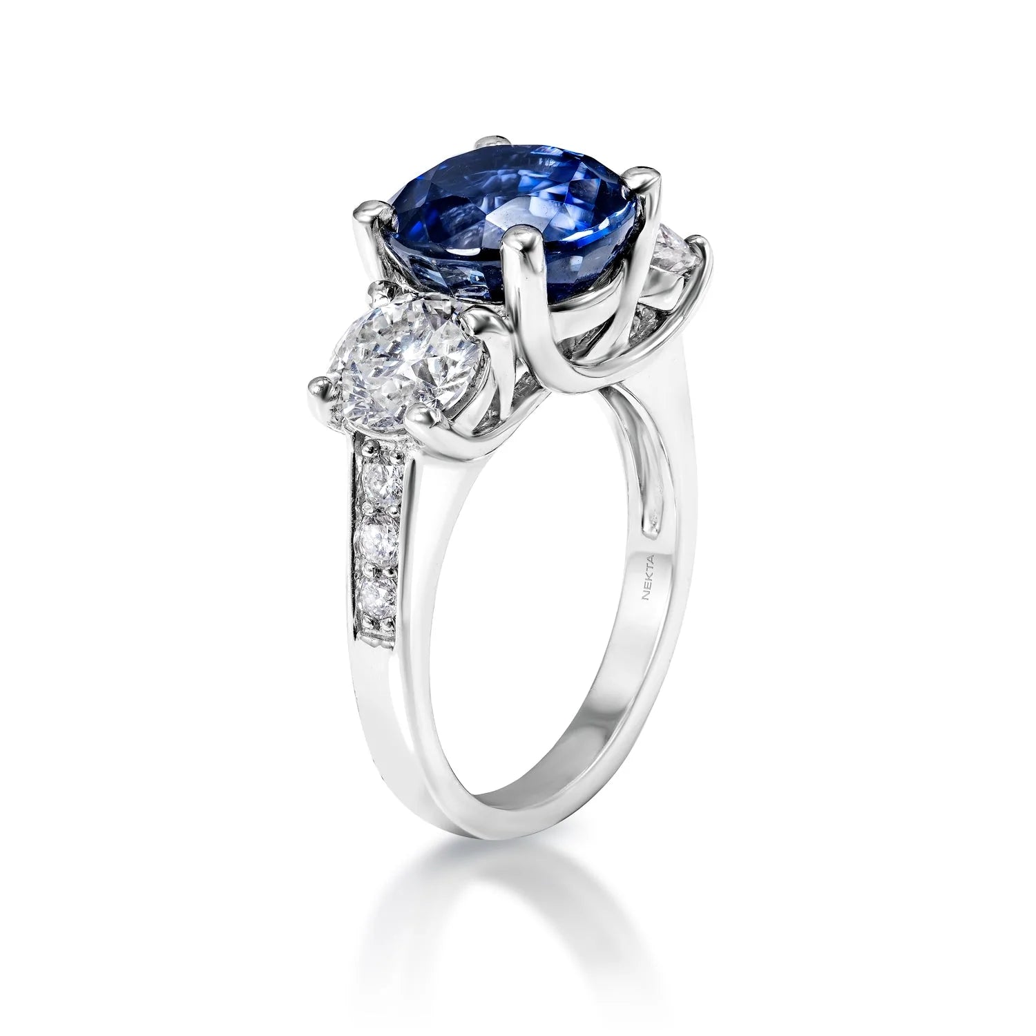 Adaline 8 Carat Round Brilliant Blue Sapphire Ring in 18 Karat White Gold Side View
