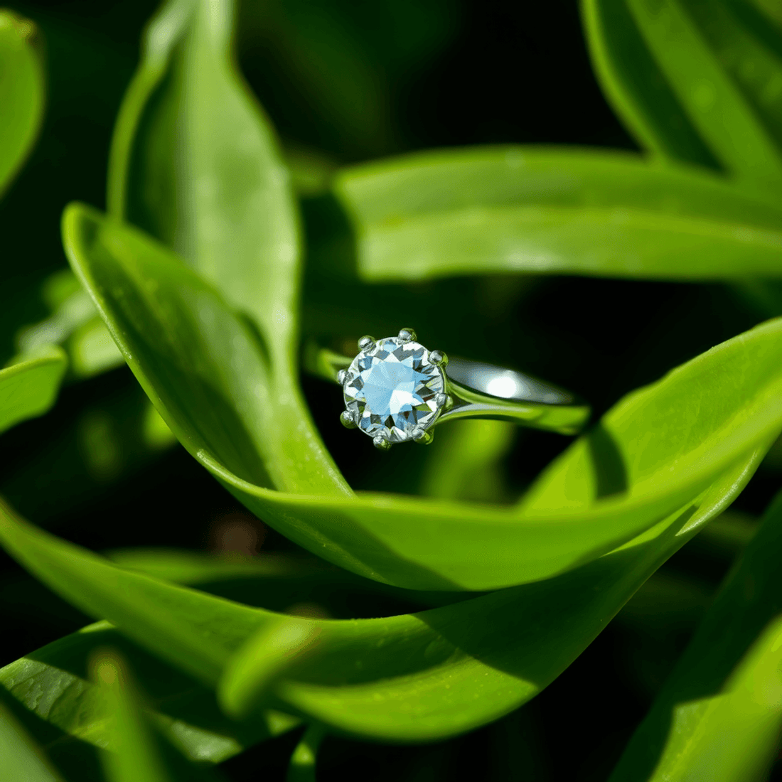 Close-up of a sparkling diamond ring with nature-inspired design on green leaves, softly lit by natural sunlight, highlighting elegance and timeless beauty.