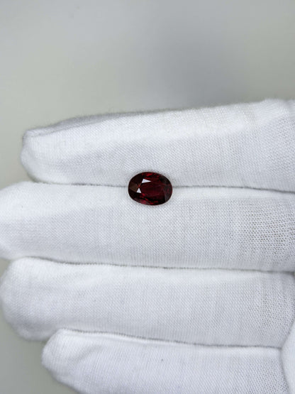 Ruby gemstone held between white gloves on a light gray background