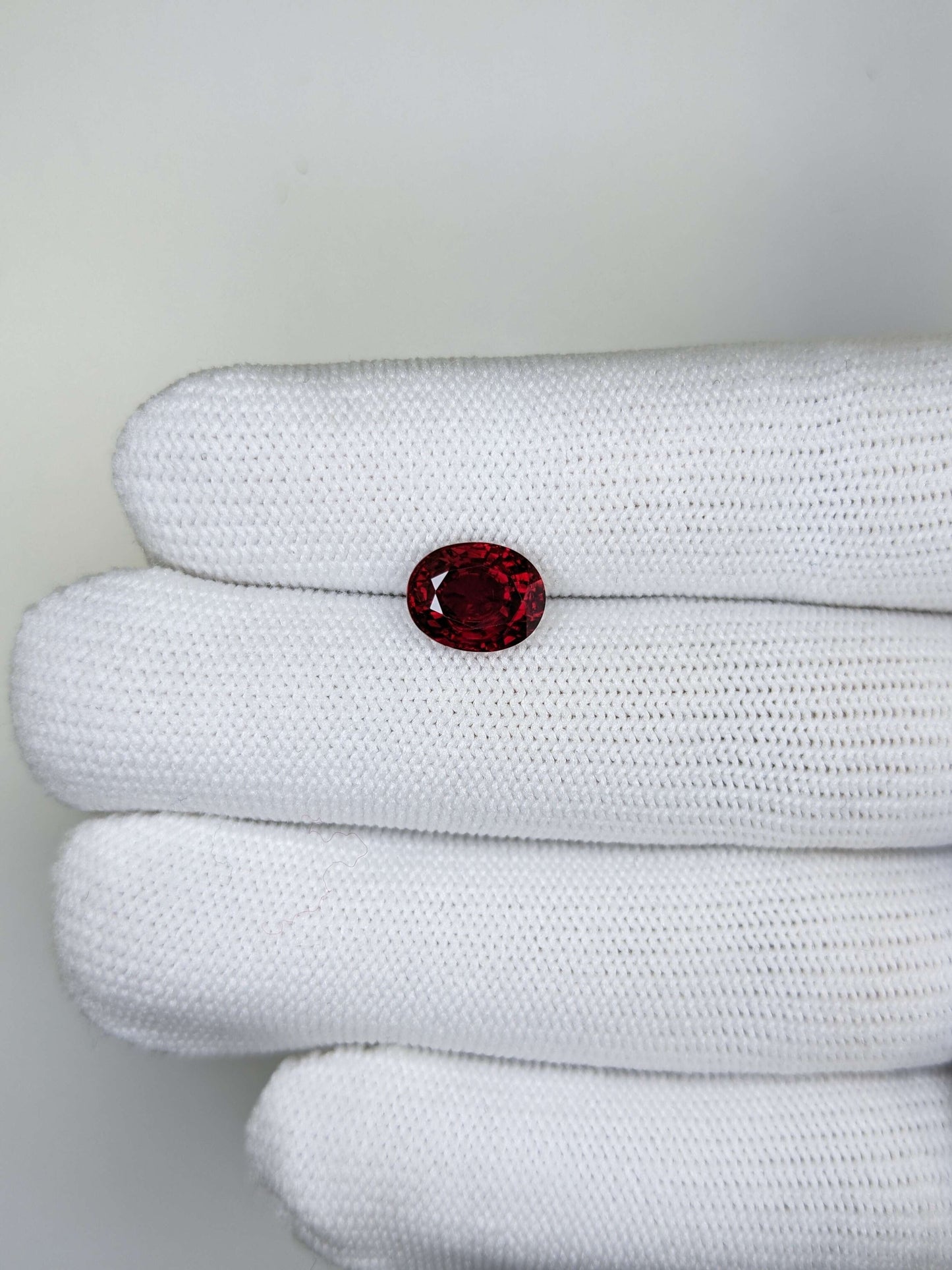 Oval red ruby gemstone held in a white glove against a light gray background