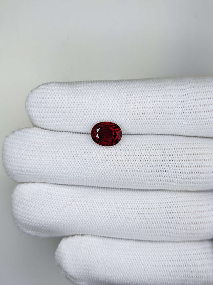 Oval red ruby gemstone held in a white glove against a light gray background