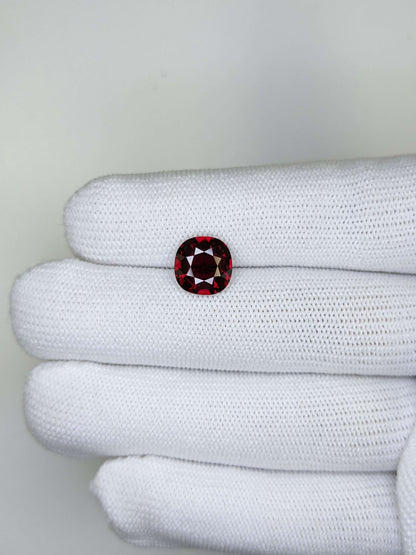 Cushion red ruby gemstone held between white gloves against a light gray background