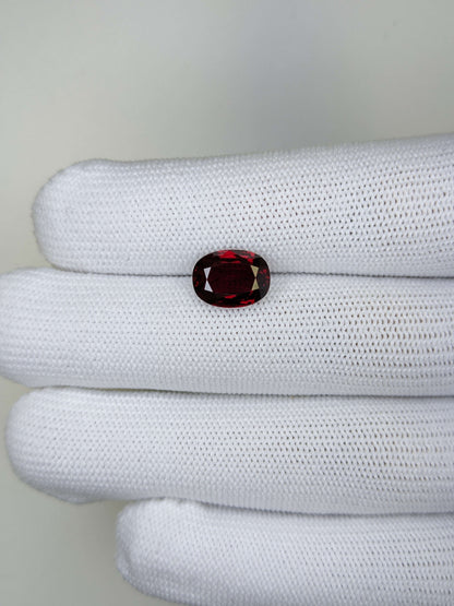 Ruby gemstone held between white gloves on a light gray background