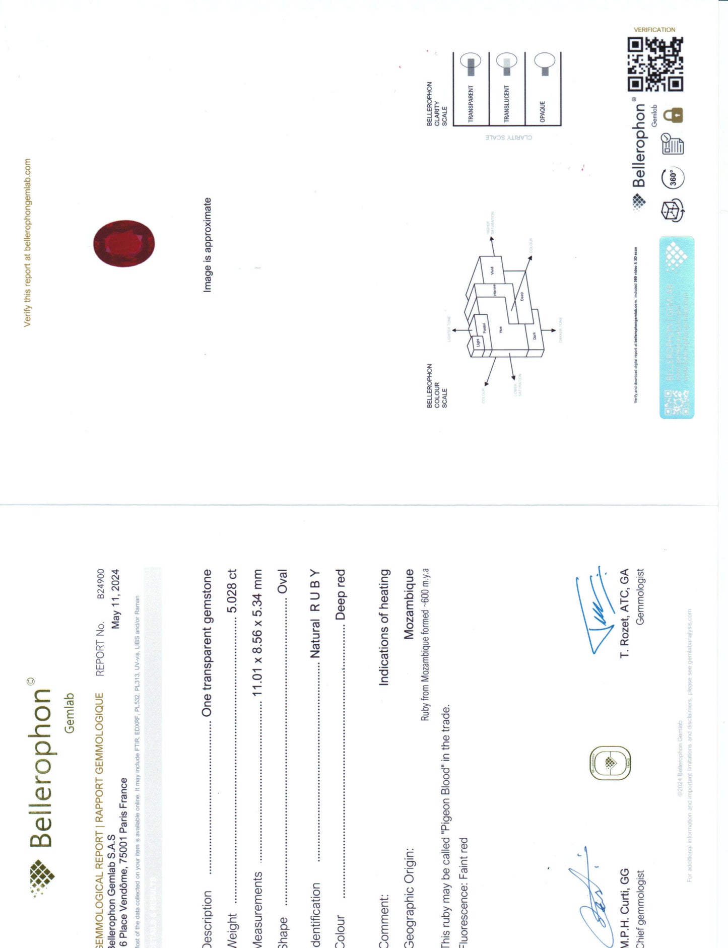 Technical drawing Bellerophon certificate report on a white background