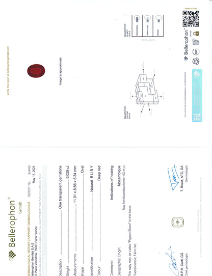 Technical drawing Bellerophon certificate report on a white background