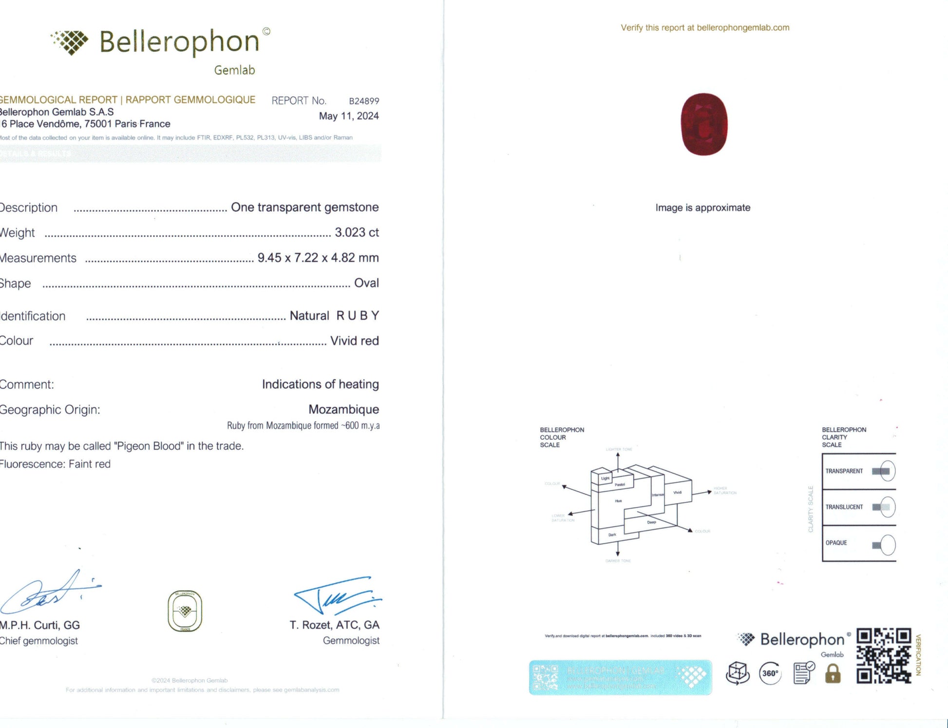 Bellerophon Report Card 