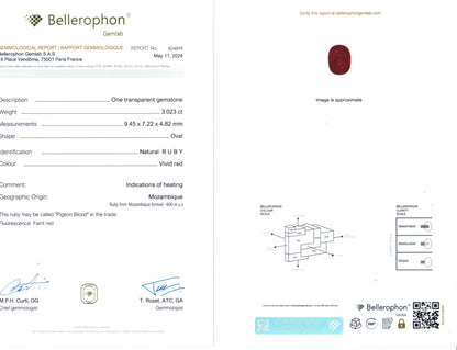 Bellerophon Report Card 
