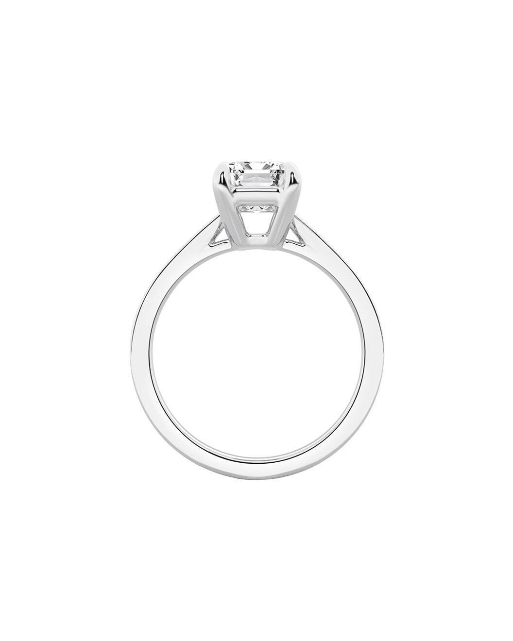 Lilienne 2 Carat Faceted Emerald Cut Lab Grown Diamond Engagement Ring in 14k White Gold Side