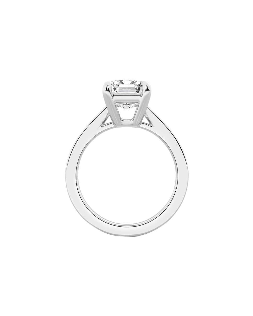 Liss 5 Carat Faceted Emerald Cut Lab Grown Diamond Engagement Ring in 14k White Rose Gold Side