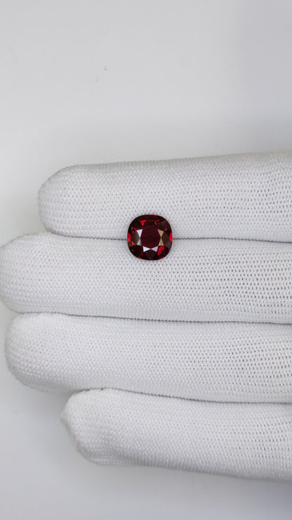 3.53 Carats Cushion Cut Heat Pigeon Blood Red Ruby Loose Gemstone Far Video