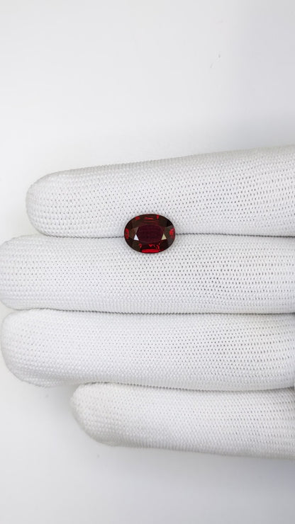 5.03 Oval Cut Heat Pigeon Blood Red Ruby Loose Gemstone Bellerophon video 1