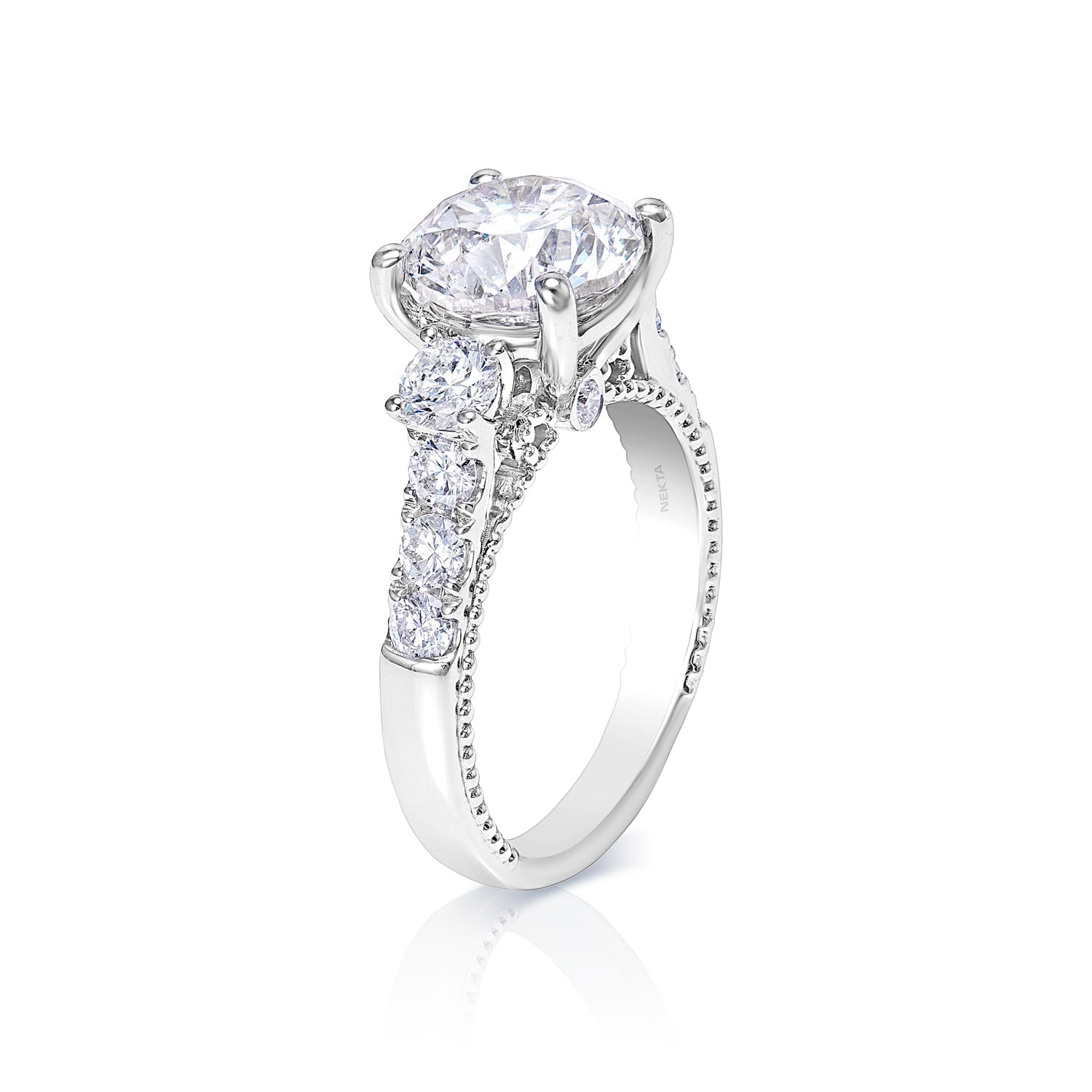 Aviana 4 Carat G VS2 Round Brilliant Cut Diamond Engagement Ring in 18kt White Gold SIde View