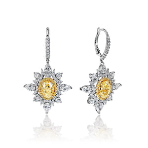 Everleigh 8 Carat FLY IF - VS2 Oval Shape Diamond Leverback Earrings in 18k Yellow & White Gold Front & Side View