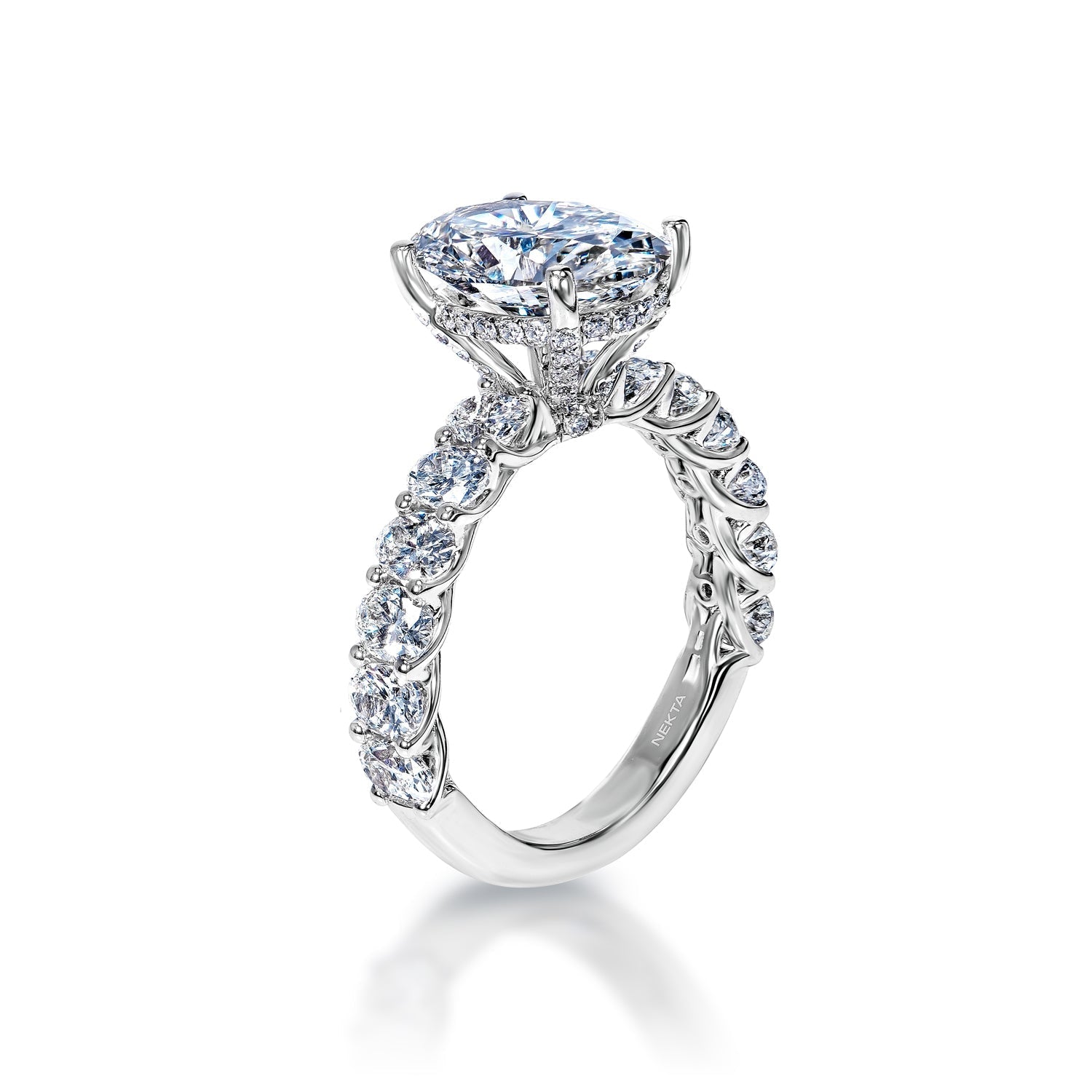 Maisie 5 Carats E VS1 Oval Cut Diamond Engagement Ring in 18k White Gold Side View