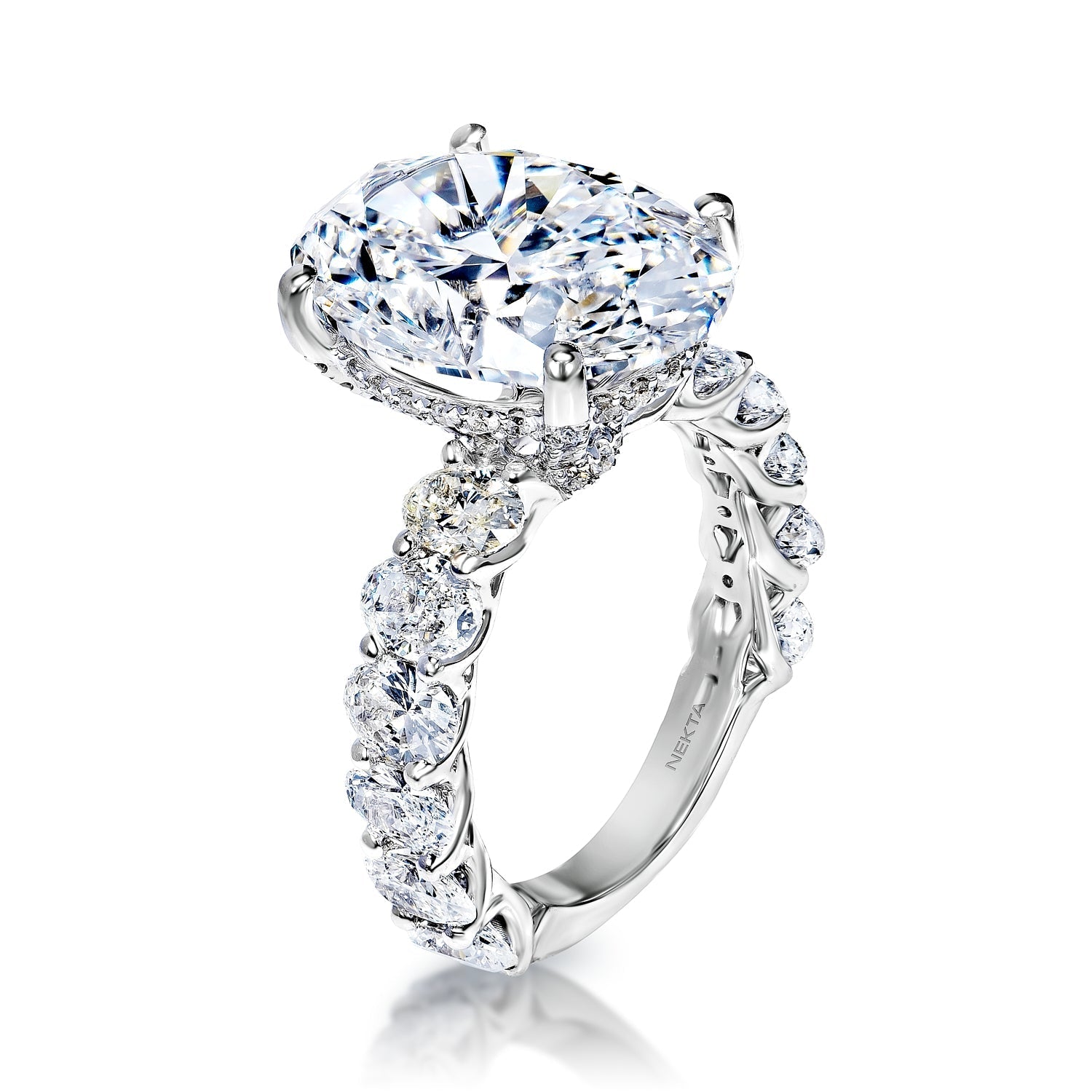 Lorrine 10 Carats E VS2 Oval Cut Lab-Grown Diamond Engagement Ring Side View
