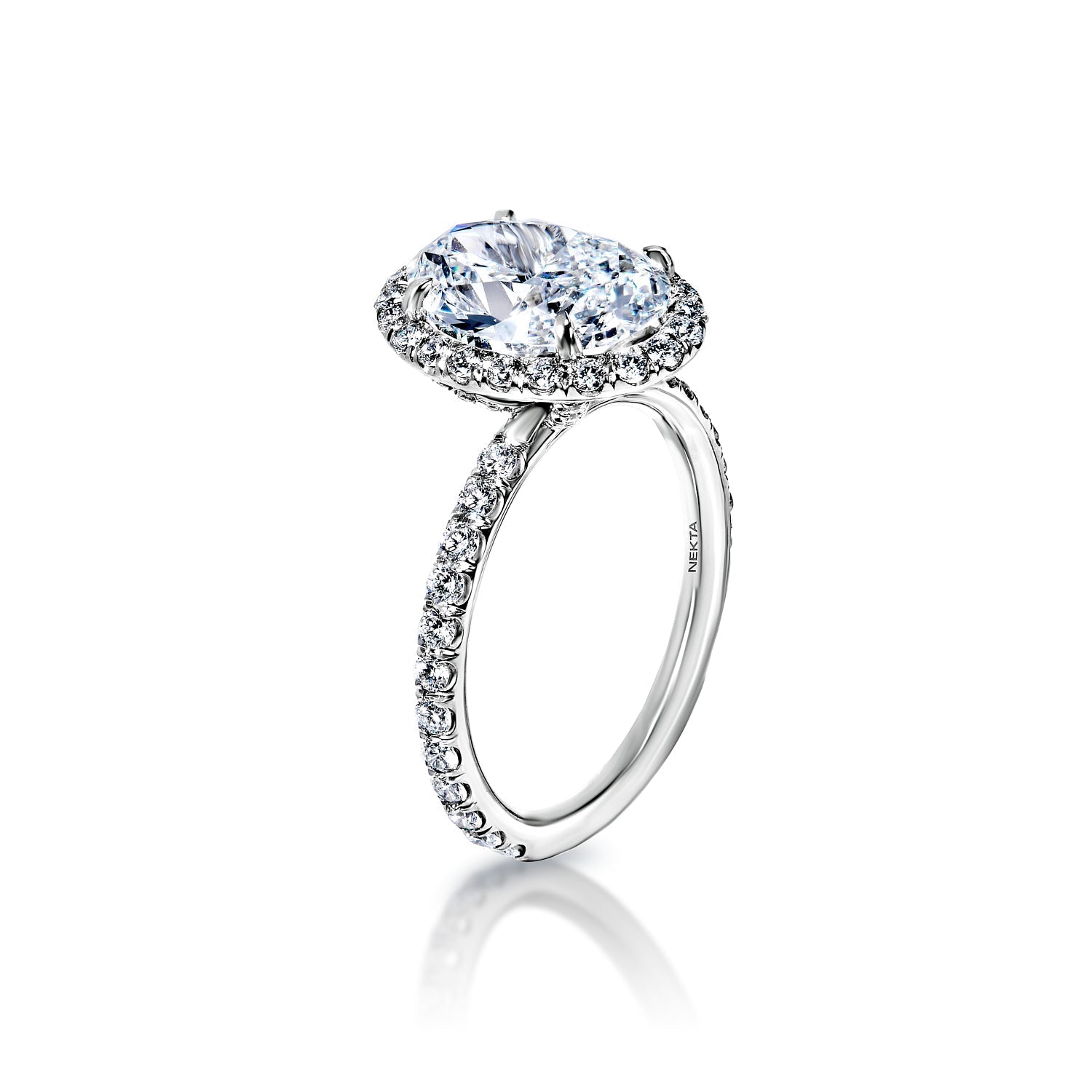 Rosa 4 Carat D VVS2 Oval Cut Diamond Engagement Ring in Platinum Side View